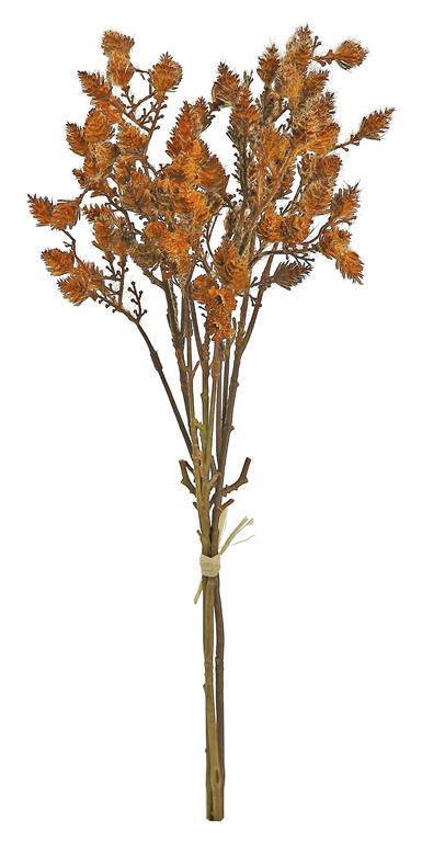 Mini Cone Branch Bundle Burg