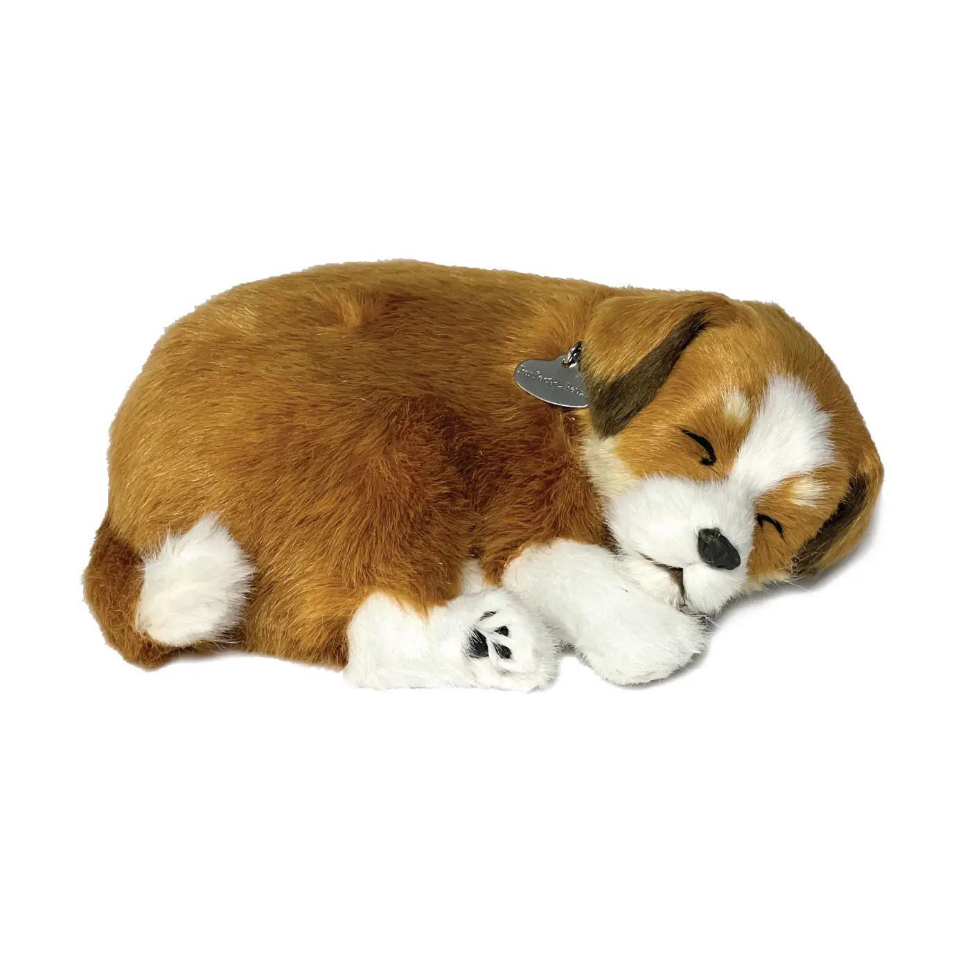 Perfect Petzzz Originals