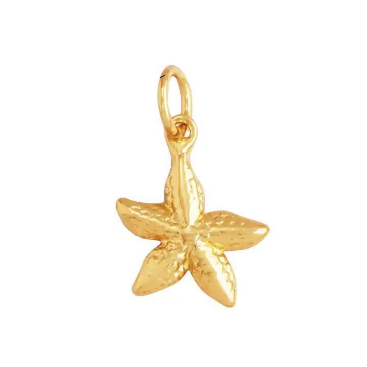 SB Charm 2