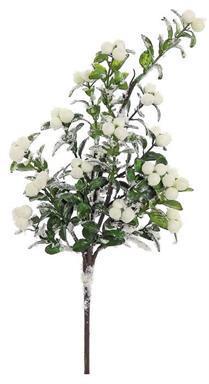 Snowy Boxwood & Berry Pick