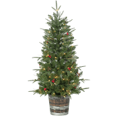 Potted Natural Cut Hudson Pine Tree