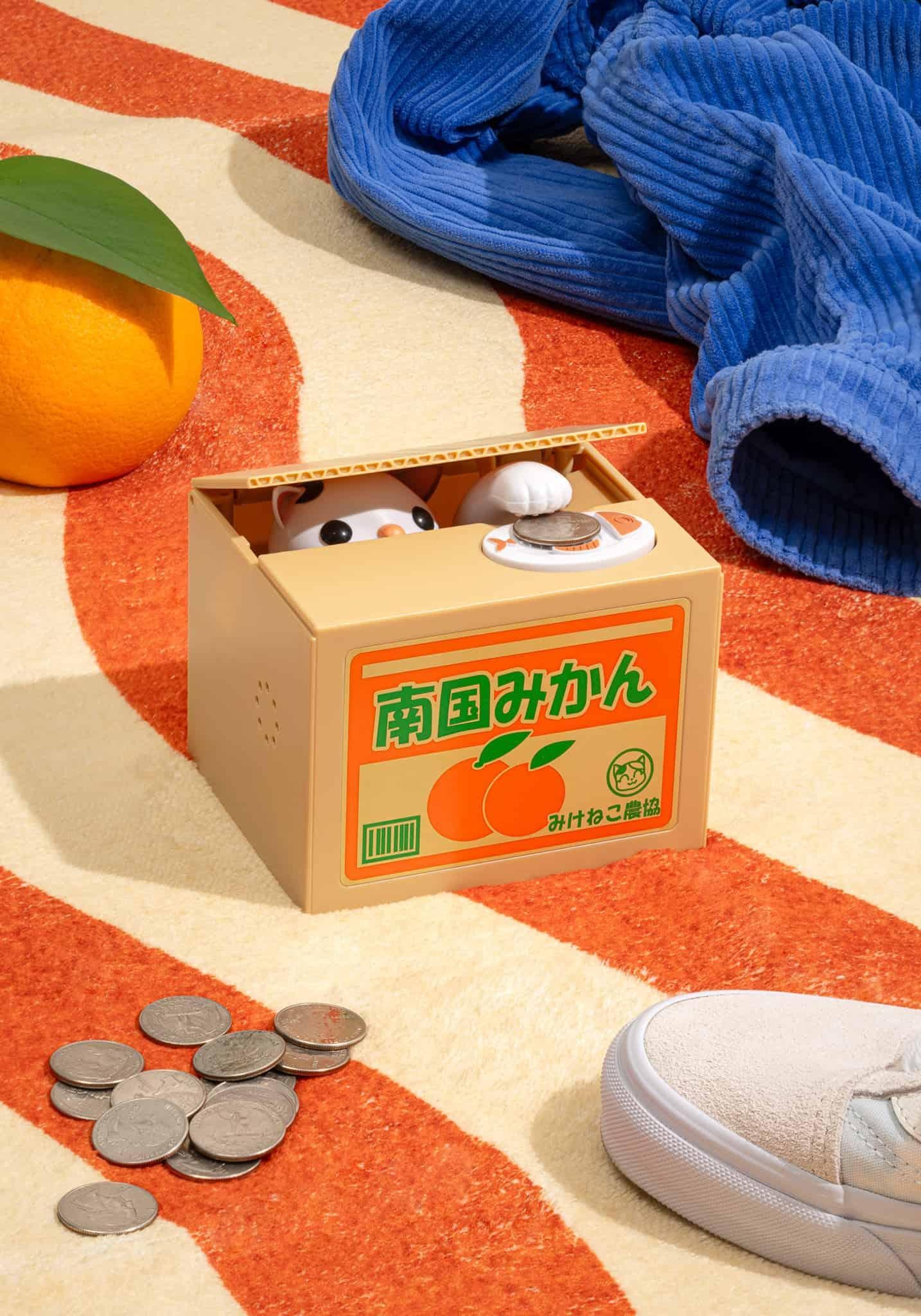 Cat in Box Bank