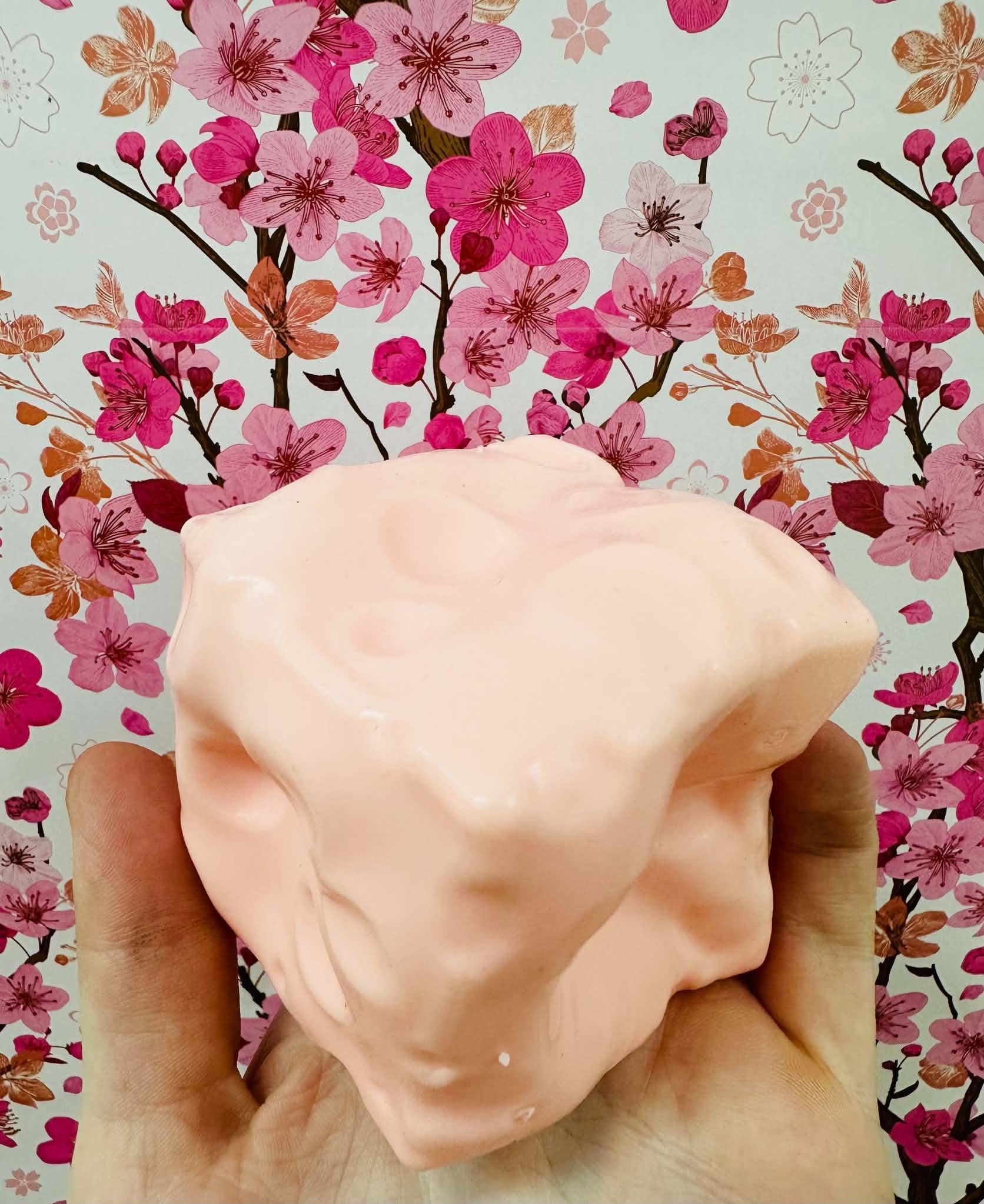 Pink Squishy Small Cheese