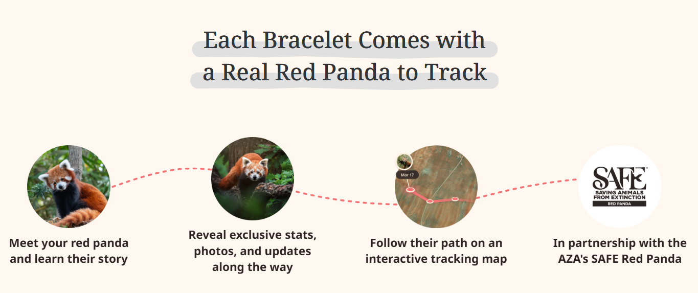 Fahlo - The Dash Bracelet