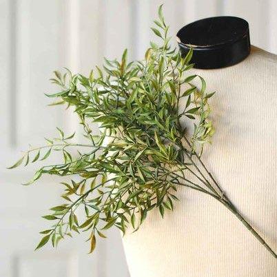 Green Smilax