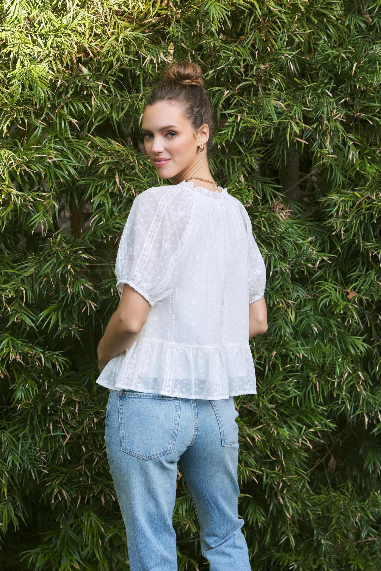 Embroidered Chiffon Flare Bubble Sleeve Blouse