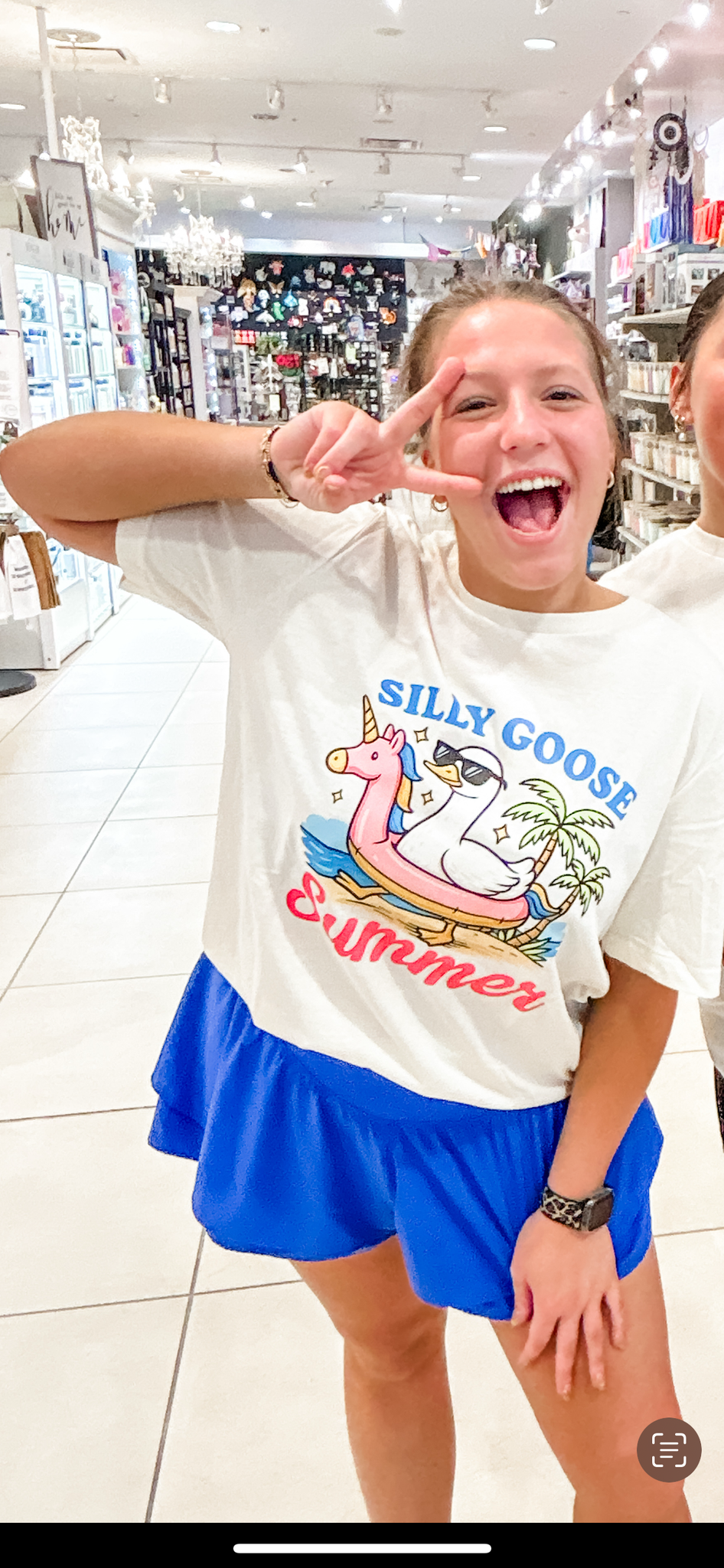 Silly Goose Summer