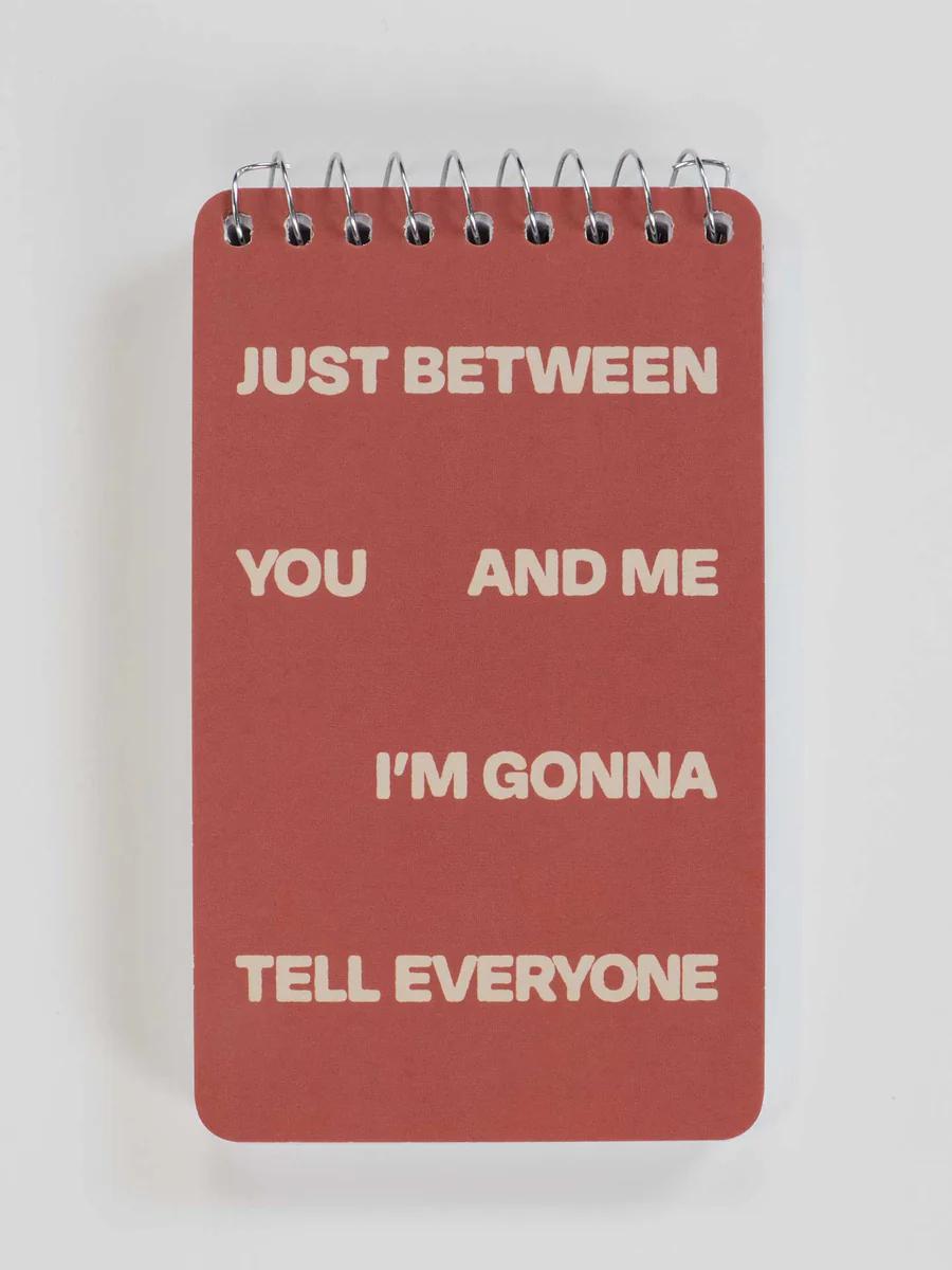 Blue Q 3X5 Spiral Notebook