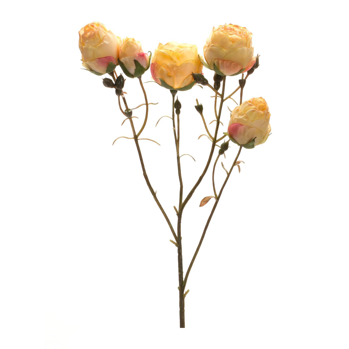 Rose Spray
