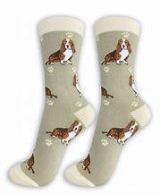 Basset Hound Socks