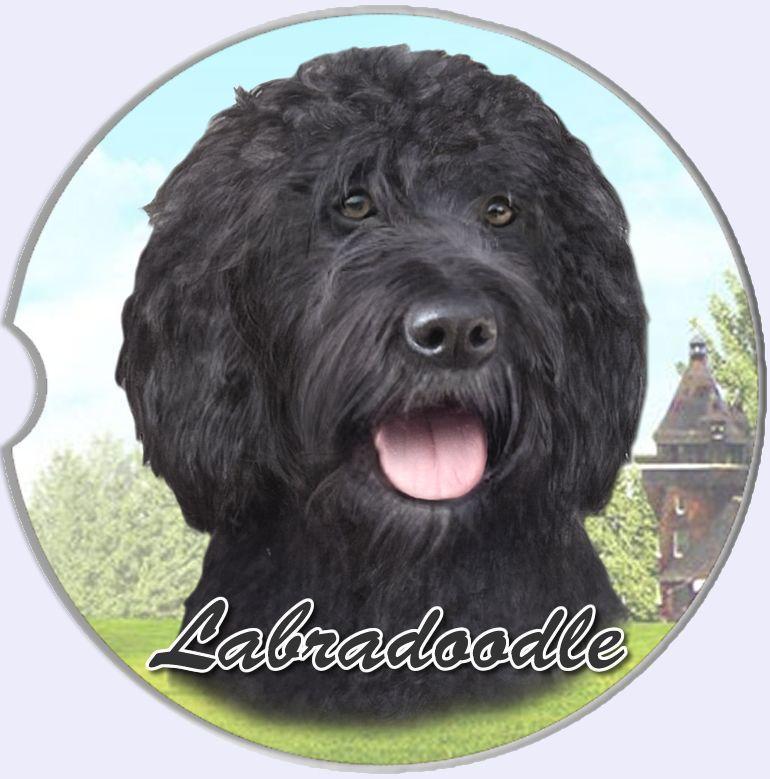Labradoodle Black Car Coaster