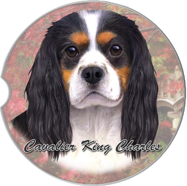 Cavalier King Charles Car Coaster