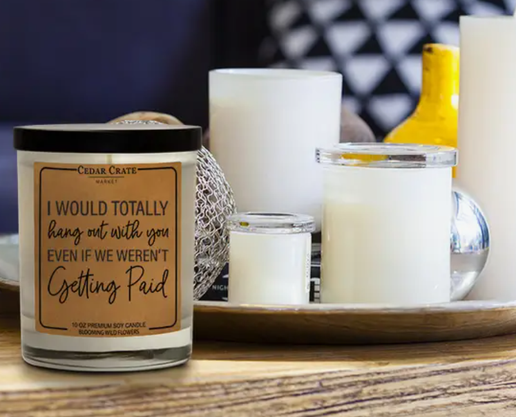 I Would Totally Hangout With You Soy Candle