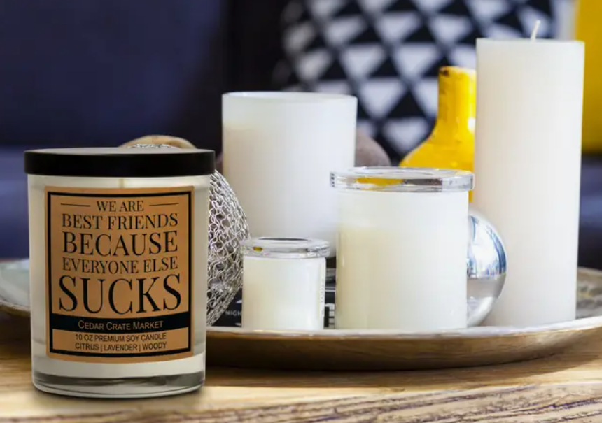 We Are Best Friends Because Everyone Else Sucks Soy Candle