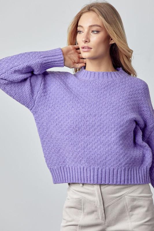 Seed Knit Sweater