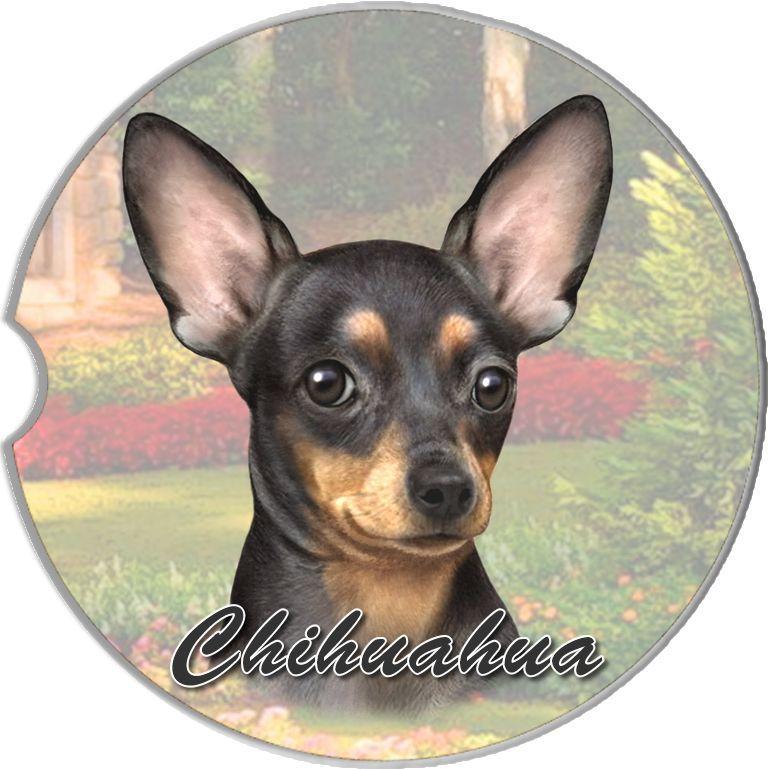 Chihuahua Black Car Coaster